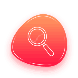 Web Analytics